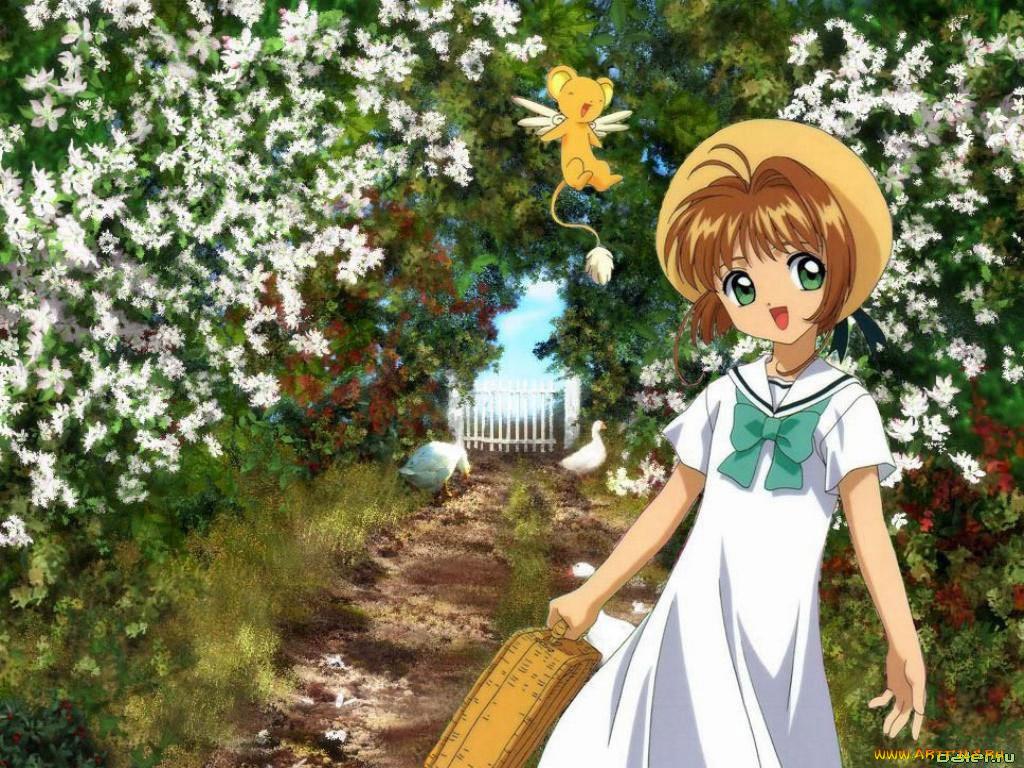 , card, captor, sakura